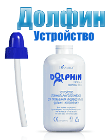 Dolphin      -  5