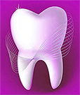 человеческий зуб