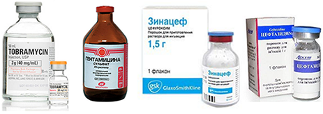препараты Тобрамицин, Гентамицин, Зинацеф и Цефтазидим