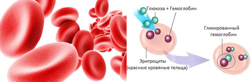 гликированный гемоглобин