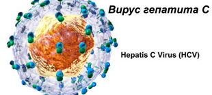 вирус гепатита С